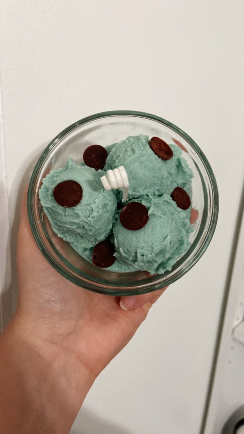 Mint Chocolate Chip Ice Cream