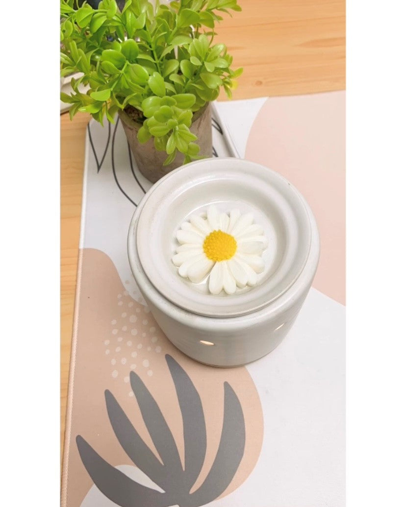 Daisy Melt